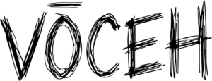 voceh n (1)